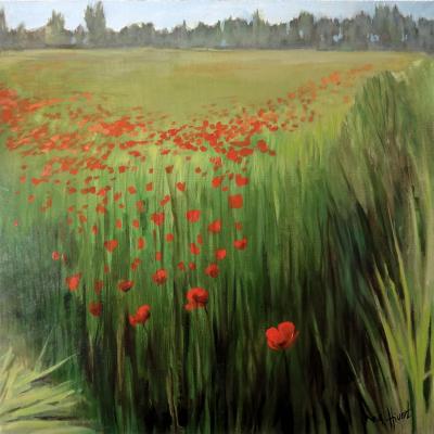 Gentils coquelicots (huile,60x60)